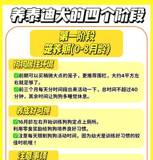 贵宾犬成长周期与养育要点全攻略