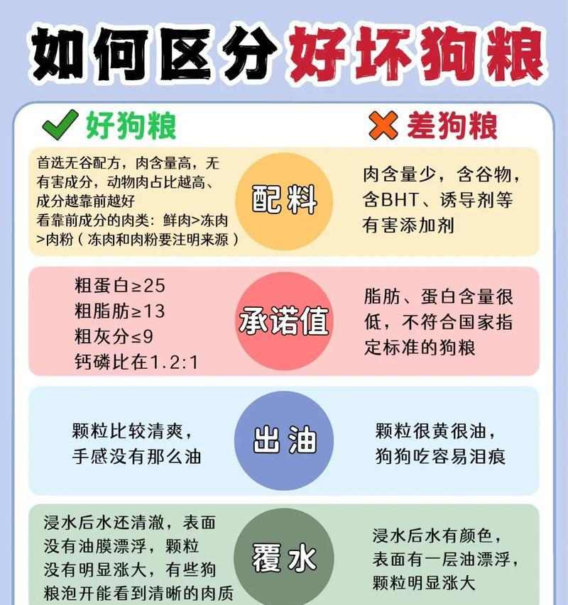 狗狗饮食需求与换粮时机解析｜科学喂养全攻略