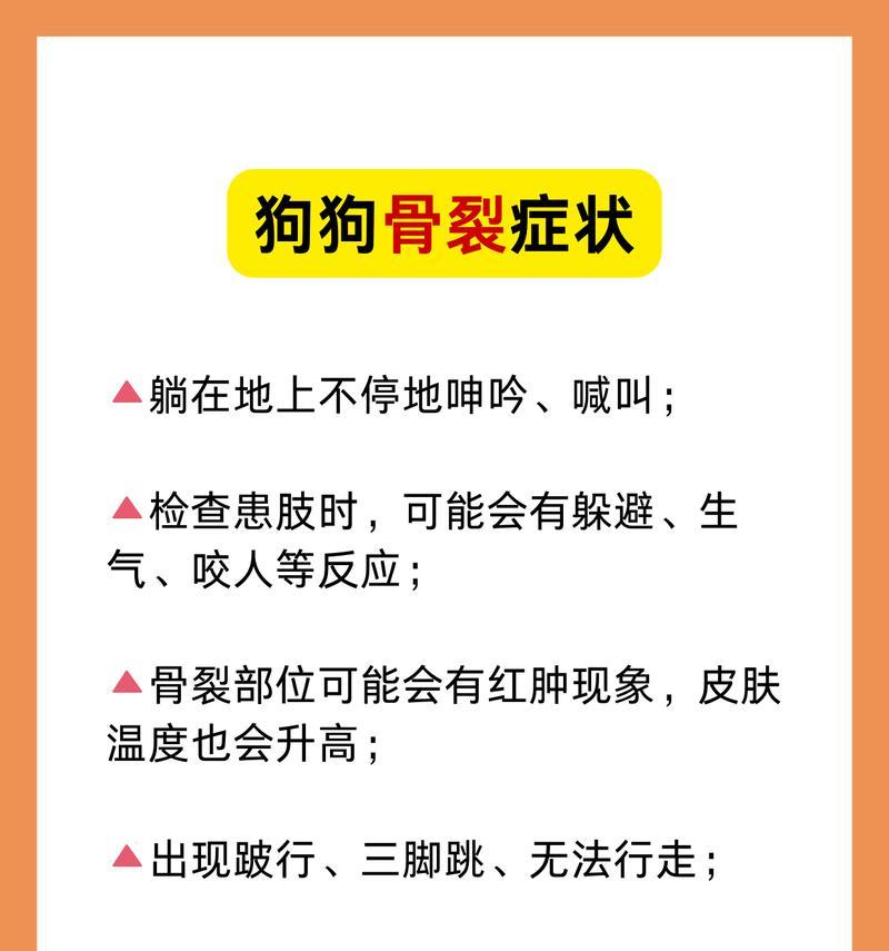 成年狗后腿骨裂康复指南|恢复时间与注意事项全解析 成年狗后腿骨裂康复指南|恢复时间与注意事项全解析