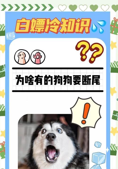 狗狗断尾方法优劣对比｜科学选择保障健康