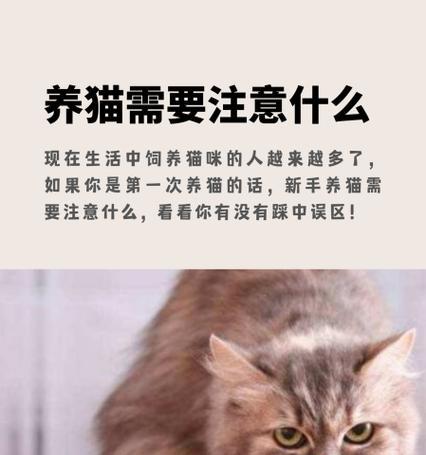养猫须知：猫咪健康知识全攻略