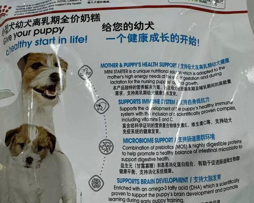 泰迪幼犬断奶期喂养指南｜健康保持全攻略