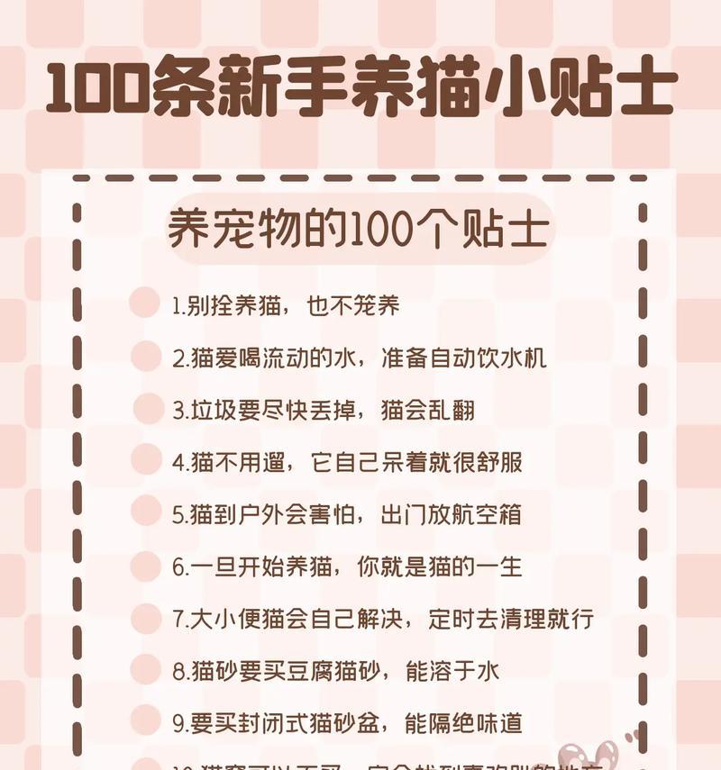 养猫须知：猫咪健康知识全攻略