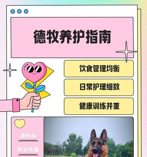 德牧配完下奶时间及影响因素全攻略 德牧配完下奶时间及影响因素全攻略