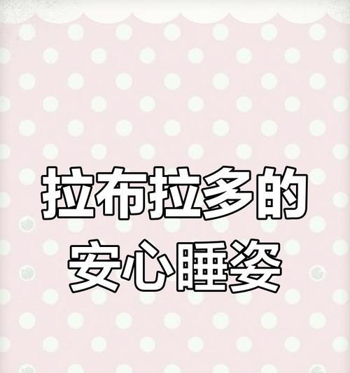 拉布拉多睡眠需求全攻略｜科学养护关键解析