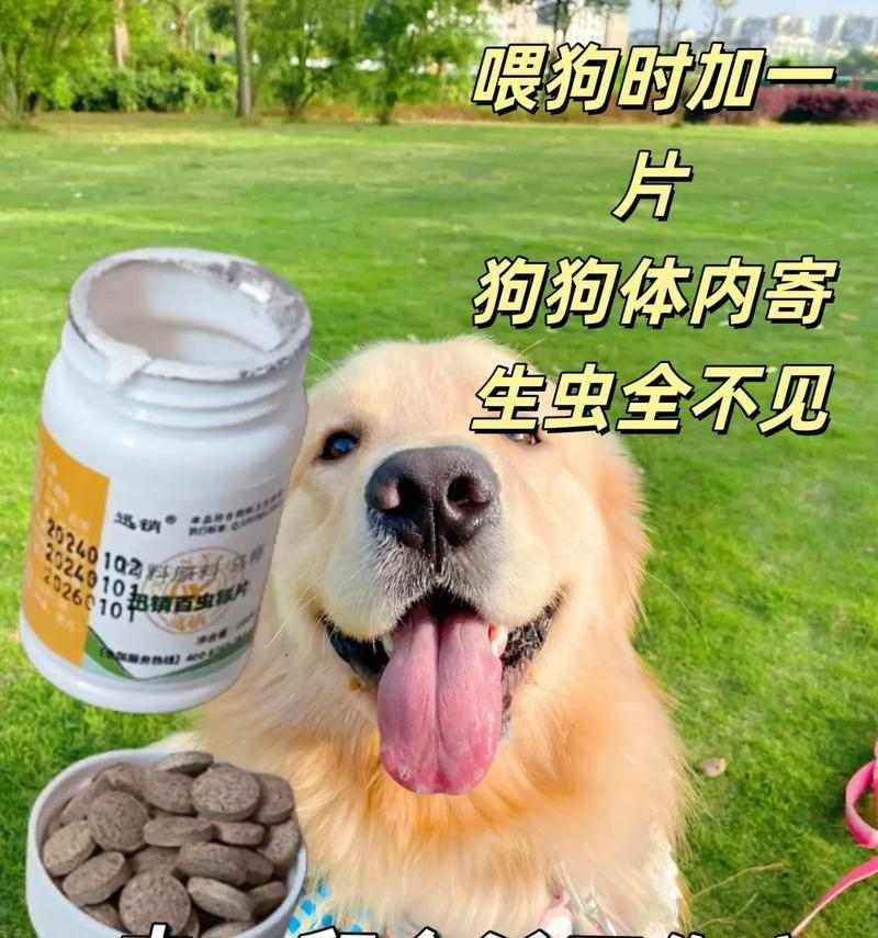 灭虫宁使用频率指南|科学用药保护狗狗健康 灭虫宁使用频率指南|科学用药保护狗狗健康