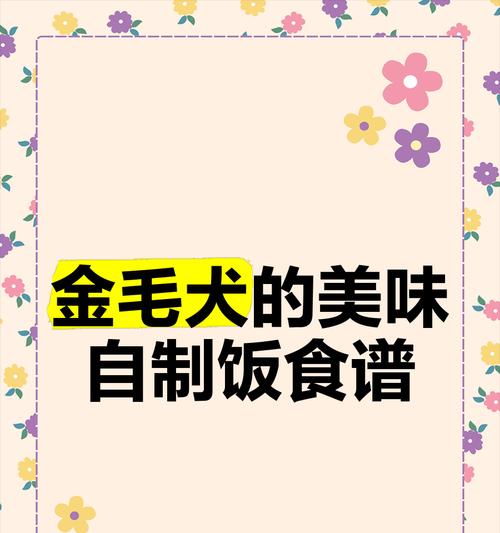 金毛幼犬饮食搭配指南｜科学喂养全攻略