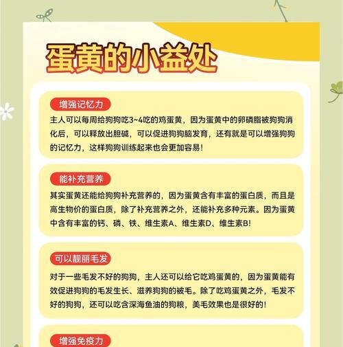 狗狗可以吃蛋白和蛋黄吗｜喂食全攻略