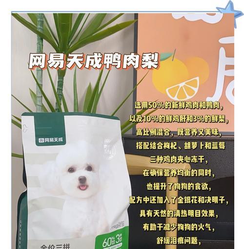 柯基犬价格影响因素分析｜选购全攻略