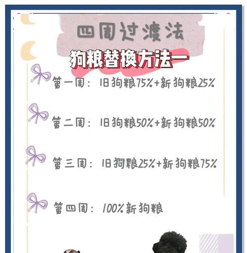 从软粮到干粮（狗狗适应干粮的关键步骤和注意事项）