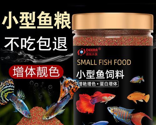 小凤尾鱼的饲养之道(喂食频率与时间间隔的重要性) 小凤尾鱼的饲养之道(喂食频率与时间间隔的重要性)