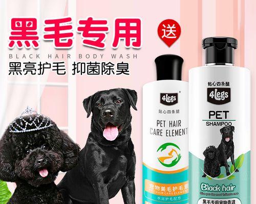 贵宾犬洗澡频率及注意事项｜健康护理全攻略