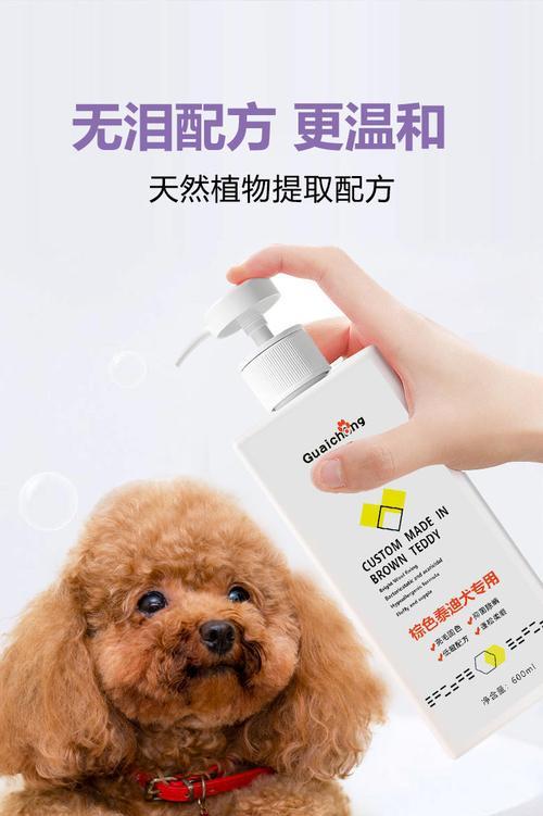 贵宾犬的洗澡频率及注意事项（一周洗澡一次，让贵宾犬毛色亮丽健康）