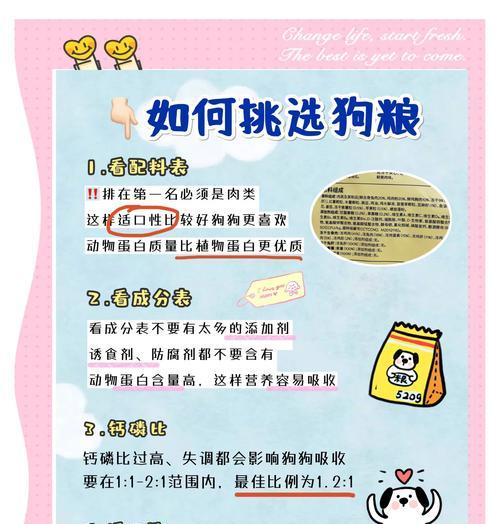 阿拉斯加什么时候开始吃硬狗粮？（了解阿拉斯加适应硬狗粮的时间及方法）