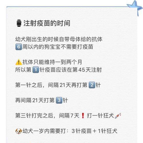 狗狗的疫苗接种时机和注意事项(了解狗狗疫苗的最佳时间和必要性,让你的宠物健康成长) 狗狗的疫苗接种时机和注意事项(了解狗狗疫苗的最佳时间和必要性,让你的宠物健康成长)