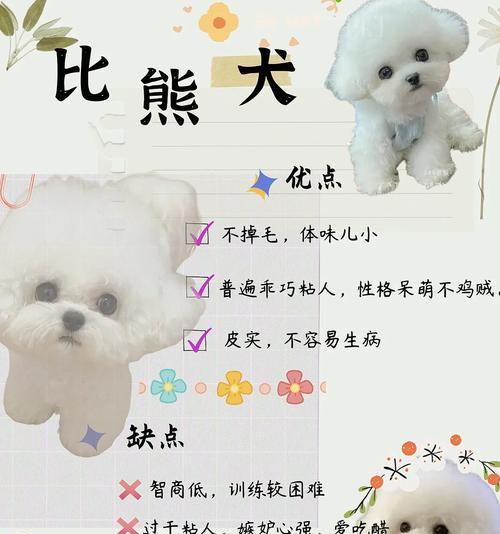 常见狗狗价格揭秘(解析6种常见狗狗的价格及入手要点) 常见狗狗价格揭秘(解析6种常见狗狗的价格及入手要点)