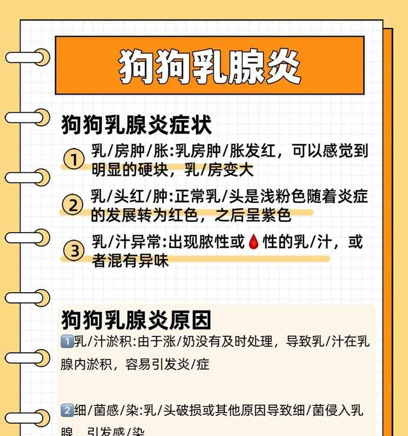 狗产后乳腺炎的症状及处理方法(了解狗产后乳腺炎的常见症状,保护母狗健康!) 狗产后乳腺炎的症状及处理方法(了解狗产后乳腺炎的常见症状,保护母狗健康!)