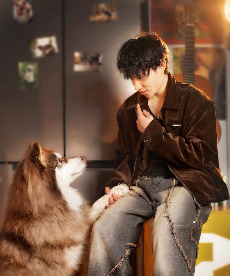 正确喂养阿拉斯加的方法与技巧（了解关键的喂养需求，给你的阿拉斯加提供健康饮食）