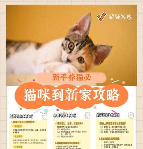 猫咪进新家需要适应多久?(探索适应新环境所需的时间和方法) 猫咪进新家需要适应多久?(探索适应新环境所需的时间和方法)