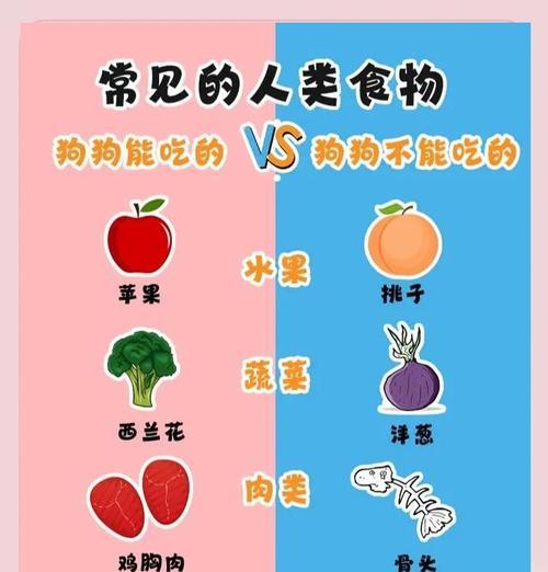 金毛狗的饮食（以金毛狗为例，探讨适合它们的膳食搭配，以青菜为主的好处）