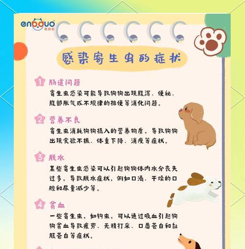 狗狗驱虫的最佳频率是多久一次？（解答狗狗驱虫频率的疑惑）