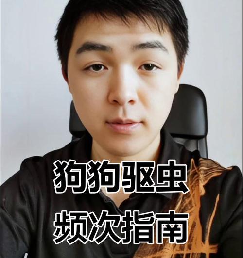 狗狗驱虫的最佳频率是多久一次？（解答狗狗驱虫频率的疑惑）