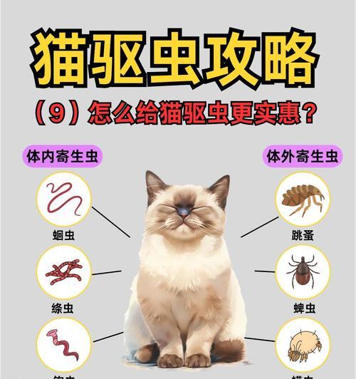 狗狗体内外驱虫的最佳时机（合理驱虫频率保护宠物健康）