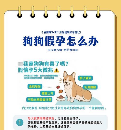 狗的妊娠期及分娩时间(狗妊娠周期、分娩过程及相关注意事项) 狗的妊娠期及分娩时间(狗妊娠周期、分娩过程及相关注意事项)