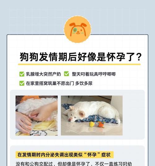 狗的妊娠期及分娩时间(狗妊娠周期、分娩过程及相关注意事项) 狗的妊娠期及分娩时间(狗妊娠周期、分娩过程及相关注意事项)