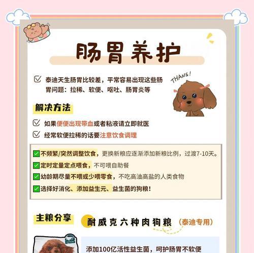 科学饲养泰迪幼犬，让它健康成长！（教你5个科学的方法，让泰迪宝宝快乐成长）