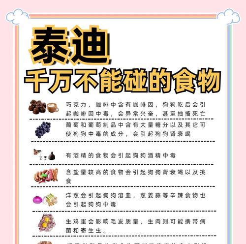 泰迪宝宝不能吃的食物及注意事项（保护你的泰迪宝宝健康的饮食守则）