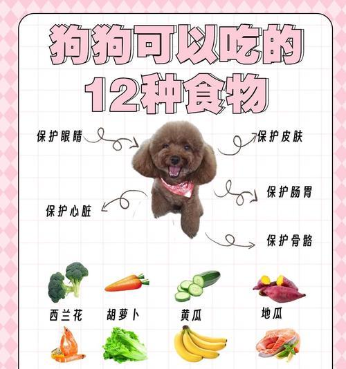 泰迪宝宝不能吃的食物及注意事项（保护你的泰迪宝宝健康的饮食守则）