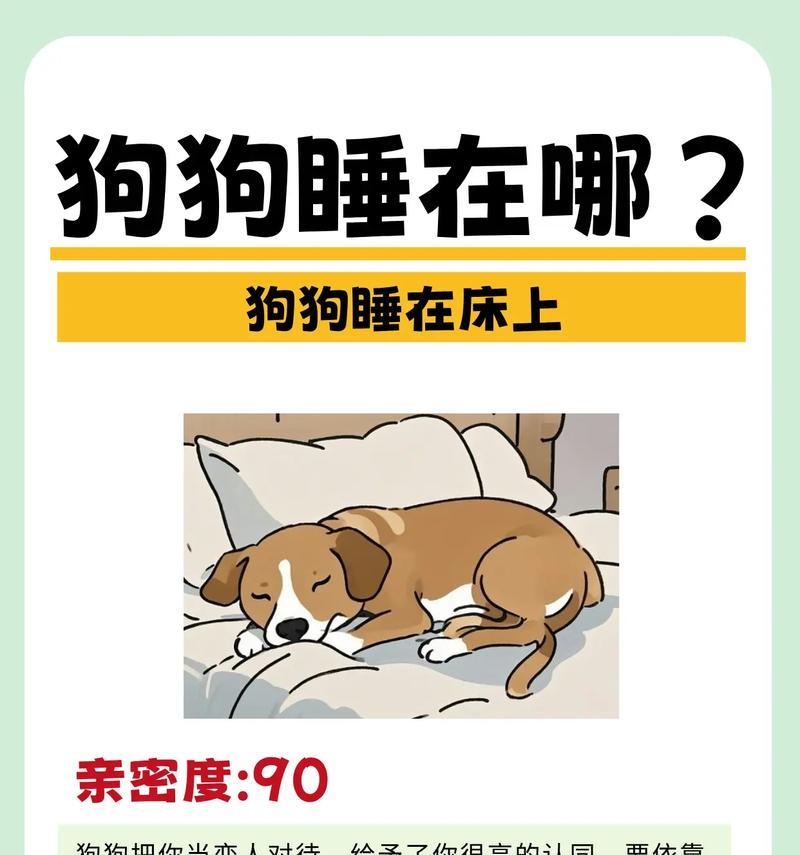 小狗的睡眠需求及其对健康的重要性（探索小狗睡眠模式与健康之间的关系）