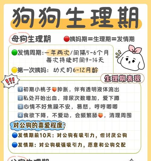 狗的月经周期及注意事项(了解狗的生理周期,关注宠物健康) 狗的月经周期及注意事项(了解狗的生理周期,关注宠物健康)