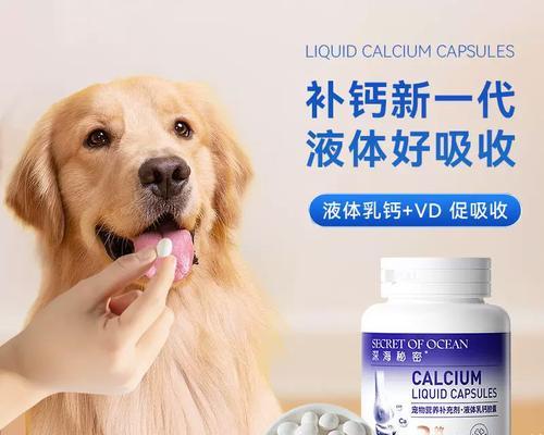 狗狗缺钙的症状及补钙需求（预防早治疗，关注狗狗健康）