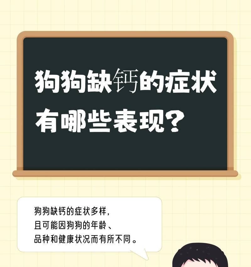 狗狗缺钙的症状及补钙需求（预防早治疗，关注狗狗健康）