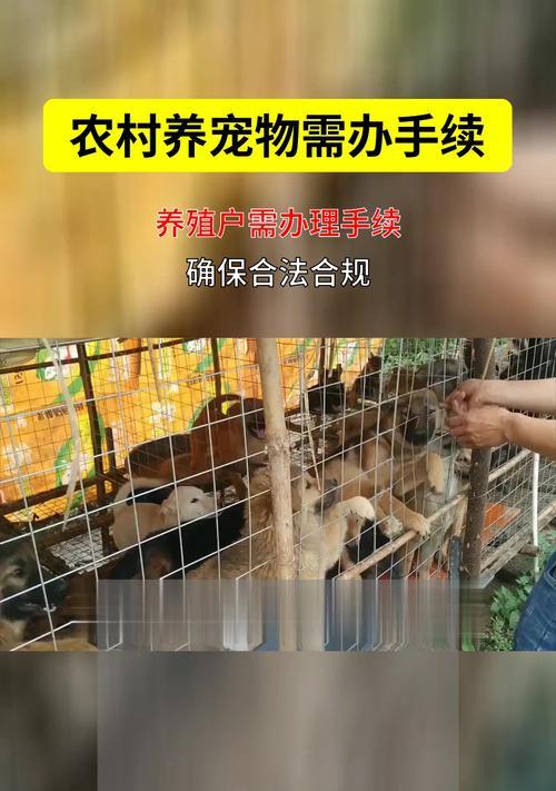 小区养狗，手续缺一不可（小区养狗需要的手续及办理流程，了解一下吧！）