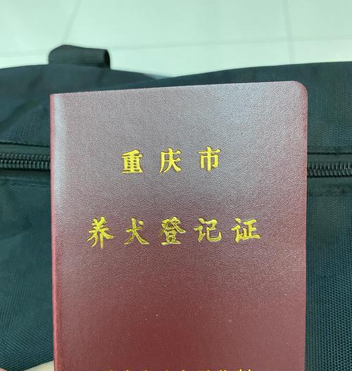 小区养狗，手续缺一不可（小区养狗需要的手续及办理流程，了解一下吧！）