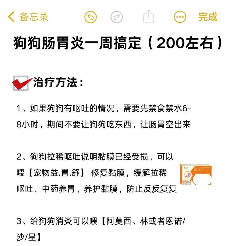 宠物狗狗肠炎的常见症状及治疗方法（了解狗狗肠炎，呵护宠物健康）