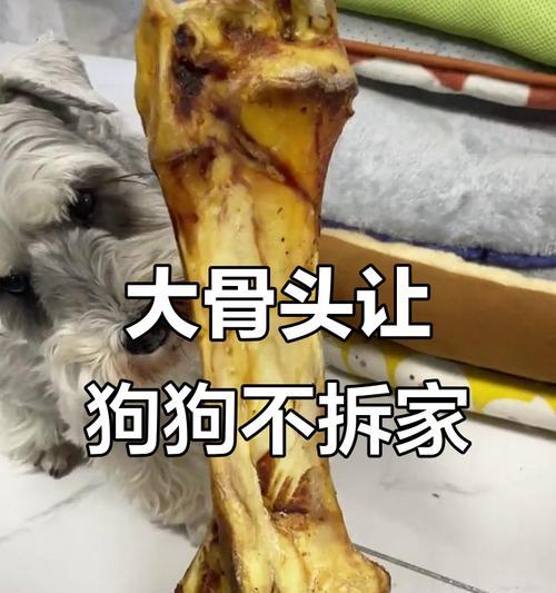 狗吃骨头要煮多久才能熟?(探讨狗吃骨头的最佳煮熟时间及食用建议) 狗吃骨头要煮多久才能熟?(探讨狗吃骨头的最佳煮熟时间及食用建议)