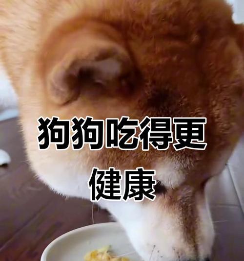 狗吃骨头要煮多久才能熟?(探讨狗吃骨头的最佳煮熟时间及食用建议) 狗吃骨头要煮多久才能熟?(探讨狗吃骨头的最佳煮熟时间及食用建议)