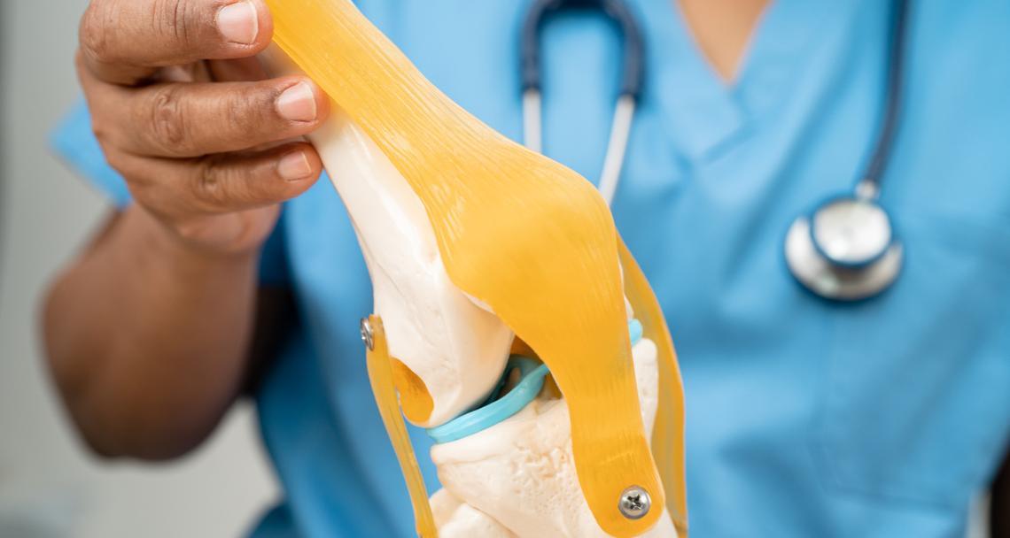 泰迪狗剪指甲的正确频率(让你的泰迪宠物拥有健康的爪子) 泰迪狗剪指甲的正确频率(让你的泰迪宠物拥有健康的爪子)