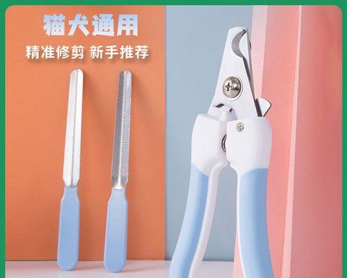 泰迪狗剪指甲的正确频率(让你的泰迪宠物拥有健康的爪子) 泰迪狗剪指甲的正确频率(让你的泰迪宠物拥有健康的爪子)