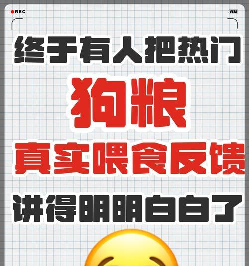 狗的饮食频率（揭秘狗狗饮食规律，）