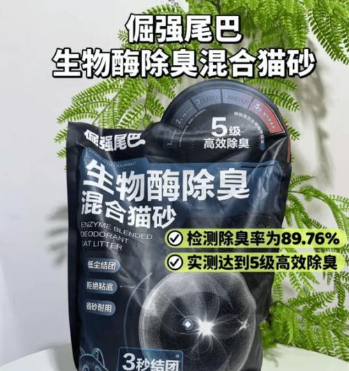 养猫必知！小猫猫砂多久换一次？