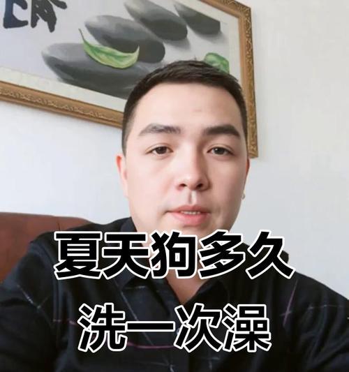 3个月大的狗狗应该多久洗一次澡？（洗澡频率对3个月大的狗狗的健康有何影响？）