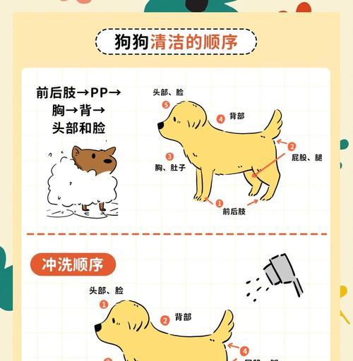 3个月大的狗狗应该多久洗一次澡?(洗澡频率对3个月大的狗狗的健康有何影响?) 3个月大的狗狗应该多久洗一次澡?(洗澡频率对3个月大的狗狗的健康有何影响?)