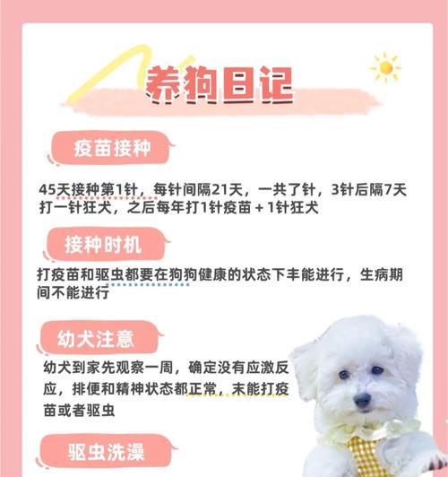 狗狗接种疫苗后多久可以洗澡？（养狗新手必知，打完针后的洗澡时间安排！）