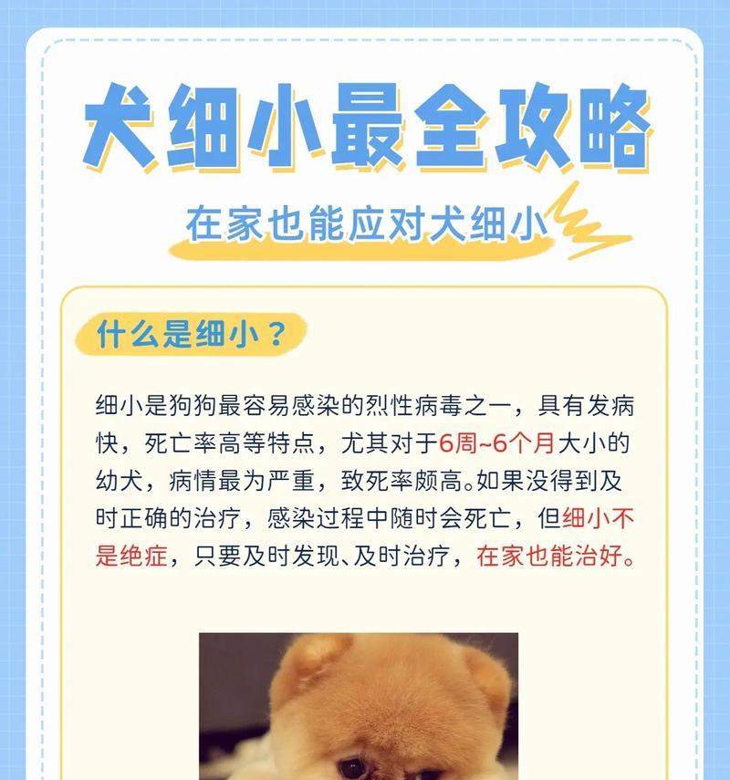 狗得了细小后多久能再养狗？（细小病毒是否会对新养的狗造成影响？）