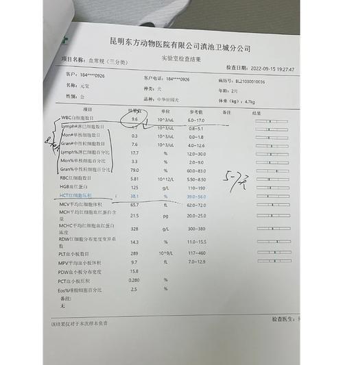 狗得了细小后多久能再养狗？（细小病毒是否会对新养的狗造成影响？）